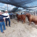 Tamaulipas firme en la recuperación de la competitividad ganadera