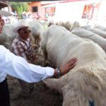 Tamaulipas firme en la recuperación de la competitividad ganadera