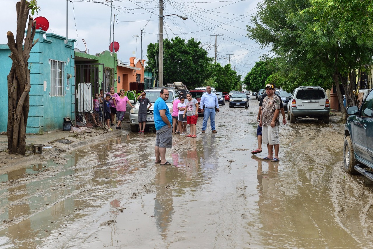 Efectúan acciones de control larvario