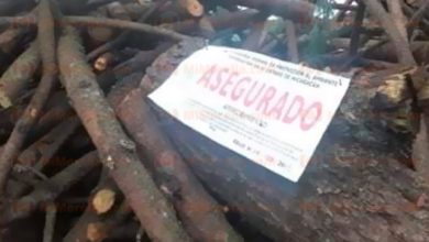 Decomisa Profepa madera en aserraderos de Morelia