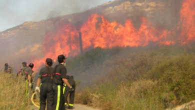 Incendios forestales afectan superficie de 5 mil 424 hectáreas en Tamaulipas