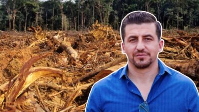 toño mendoza patzcuaro