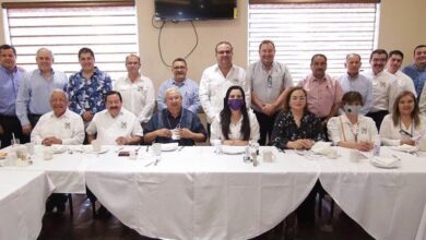 Priistas con experiencia se harán cargo de mi campaña: Yahleel Abdala