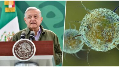 AMLO descarta nuevos cierres por variante Ómicron AMLO descarta nuevos cierres por variante Ómicron