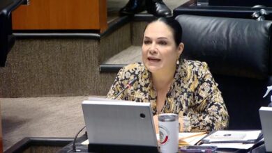 Denuncian en el Senado reformas ilícitas del PAN y Cabeza de Vaca