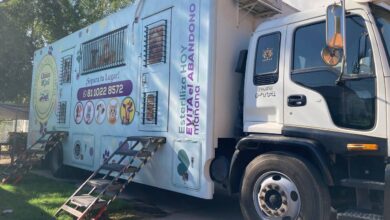 Inicia campaña de esterilización gratuita de 200 mascotas en Nuevo Laredo