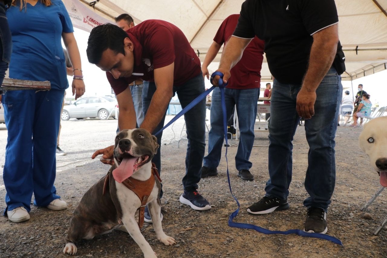 Brinda Gobierno de Nuevo Laredo atenciones para las mascotas