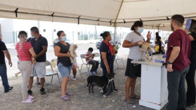 Brinda Gobierno de Nuevo Laredo atenciones para las mascotas