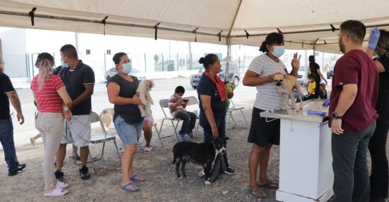 Brinda Gobierno de Nuevo Laredo atenciones para las mascotas