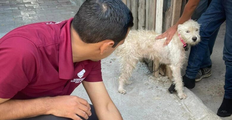 Lleva Gobierno de Nuevo Laredo atención veterinaria a domicilio