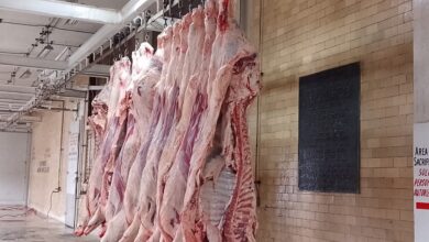 Por temporada decembrina aumenta demanda en el Rastro Municipal de Nuevo Laredo