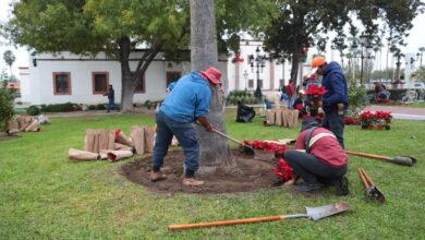 Invade el espíritu navideño a Nuevo Laredo