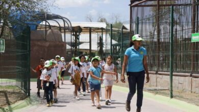 Invita Gobierno de Nuevo Laredo a vivir la navidad en el Zoológico