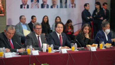 Morena lanzará convocatoria para aspirantes a la presidencia en julio