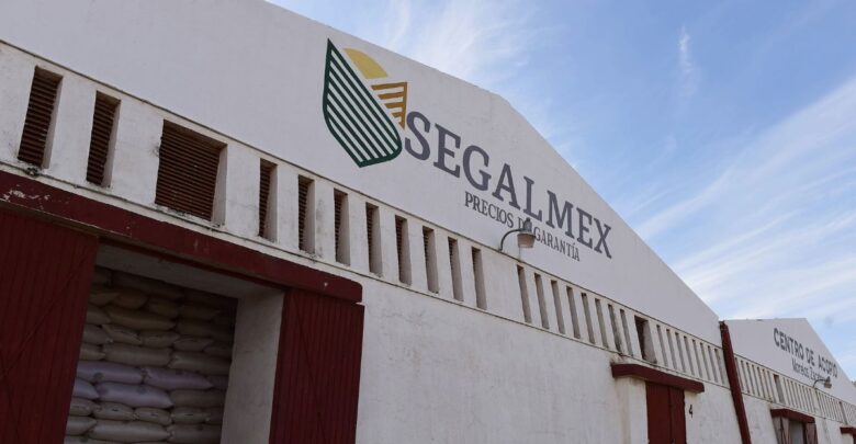 Fraude en Segalmex genera daño patrimonial de 2 mil 700 mdp: SFP