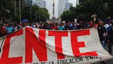 CNTE anuncia paro nacional y movilización el 30 de octubre en demanda de abrogación de reforma educativa