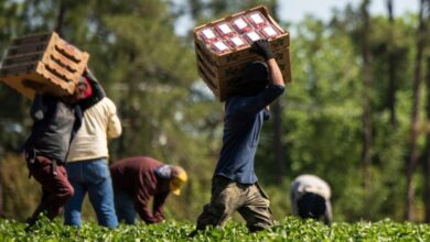 Latinos en EE. UU.: una fuerza clave en la economía, empleo y educación