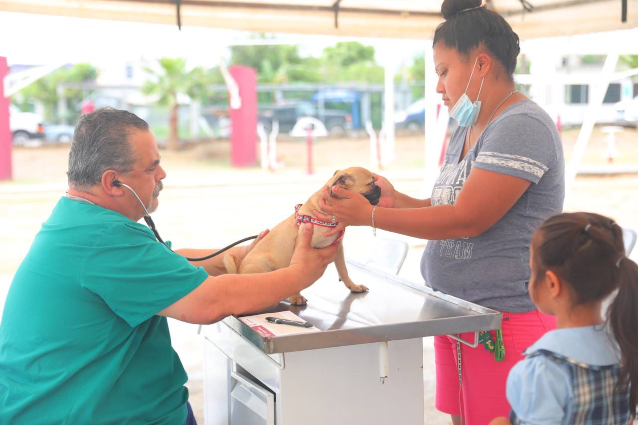 Reafirma alcaldesa Carmen Lilia Canturosas compromiso con bienestar animal