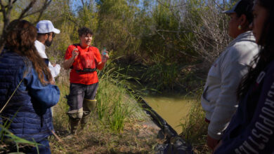 Implementa Carmen Lilia Canturosas acciones de protección al medio ambiente a través de nueva dependencia
