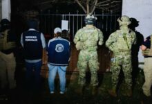 Semar asegura armas, droga y un pony en Altamira, Tamaulipas