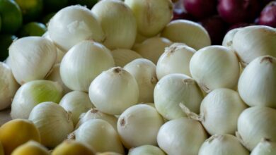 Inflación repuntó a 3.57% en agosto en México