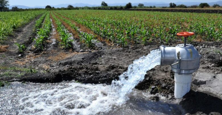 Productores advierten impacto por nueva ley de aguas