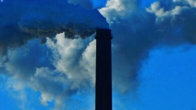 ONU advierte que el planeta se encamina a un calentamiento de 2.5 °C