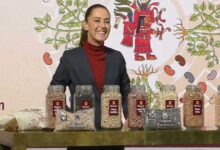 Sheinbaum anuncia “Frijoles Bienestar” para fortalecer a productores