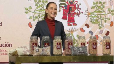 Sheinbaum anuncia “Frijoles Bienestar” para fortalecer a productores