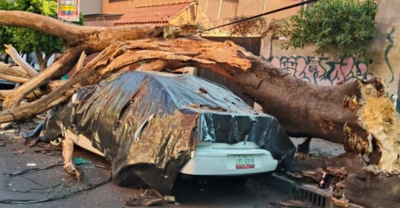 Sismo deja 12 lesionados y daños menores en la CDMX