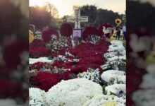 Difunden imágenes del entierro de “El Mencho” en Zapopan