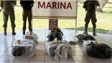 Marina asegura 265 kg de cocaína en Michoacán