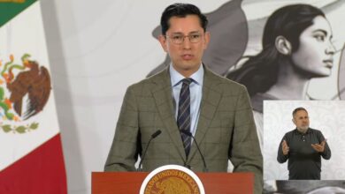 SRE llevará a tribunales de EU casos de mexicanos fallecidos por ICE SRE llevará a tribunales de EU casos de mexicanos fallecidos por ICE