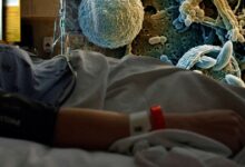 Confirman dos muertes en EU por brote de ciclosporiasis