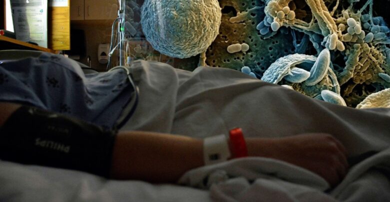 Confirman dos muertes en EU por brote de ciclosporiasis Confirman dos muertes en EU por brote de ciclosporiasis
