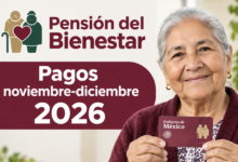 Calendario de pagos de la Pensión del Bienestar: el último depósito de 2026 inicia el 3 de noviembre