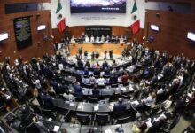 Reforma de nacionalidad única avanza con aval de 20 estados