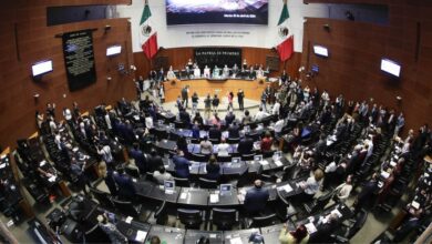 Reforma de nacionalidad única avanza con aval de 20 estados