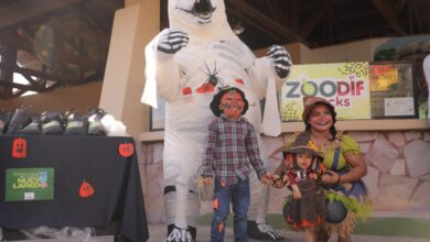 Invita Gobierno de NLD a disfrutar del Día de Muertos en el zoológico con actividades totalmente gratuitas