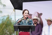 Fortalece alcaldesa Carmen Lilia Canturosas al sector ganadero con “Mineraliza tu ganado”