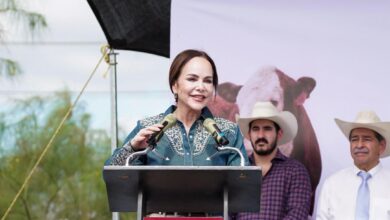 Fortalece alcaldesa Carmen Lilia Canturosas al sector ganadero con “Mineraliza tu ganado”